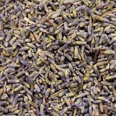 Lavender Buds - Premium