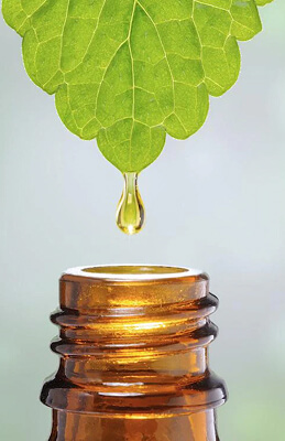 Herbal Extracts